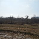 에이스목장 이미지