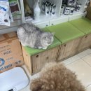 우솔동물병원 이미지