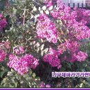 나의첫음악 이미지