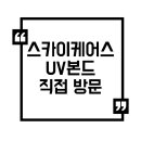 스카이케어스 네이버블로그