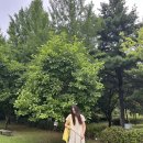보부기획 | 여름에코백추천, 띵스댓톡 닥스훈트에코백 매일 들고 싶은 휘뚜루마뚜루 데일리백 후기