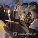 The heartwood 이미지