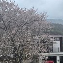 청도강변돌고래펜션 이미지