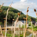 무궁화수목원 이미지