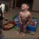 허스키 사랑 이미지