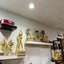 팀비식스 이미지