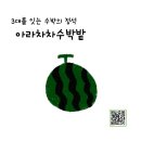 아라차차 - 김포시 구래동 | 아라차차