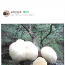 키킥 이미지