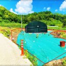 월영농장 이미지