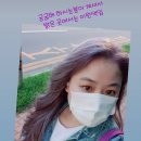 염색이야기 이미지