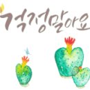 게스현대대구아울렛