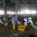 금와농장 이미지