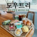 서생중학교 | 울산 간절곶 베이커리 카페 도우트리 서생 신상 맛집