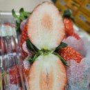 햇님이네과일