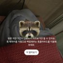 산본제일병원(26042) | 산본제일병원 선택제왕절개 후기