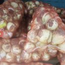 새마을공판장 이미지