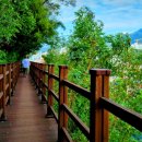 산호동136 이미지