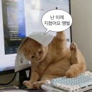 성진미화노동조합 | [일상] 24년 마지막 발자취 줍줍 ~