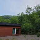 용대자연휴양림캠핑장 | 강원도 인제 용대 자연 휴양림 소개