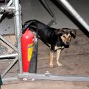 한-베트남  문화예술교류 이미지