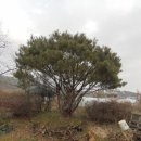 양지마을 1길 이미지