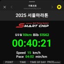 서울 마라톤 10km 이미지