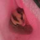 와우펫앤쥬 김해점 이미지