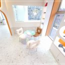 켈리 독, 강남 애견호텔 애견유치원 이미지