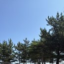 봉수대 | 고성] 봉수대 오토캠핑장 카라반 4인 특실 소개 및 봉수대해수욕장 사용후기