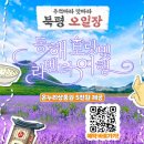 (주) 시티환경 이미지