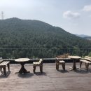 꼬미엔소 이미지