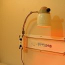 동서양한의원 이미지