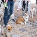 영산강대상공원1 이미지