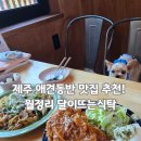 달뜨는빵 | 제주 구좌 월정리 애견동반식당 달이뜨는식탁 흑돼지돈까스 후기