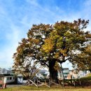 수암경로당 이미지