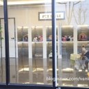 펫스타일 이미지