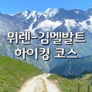 하나멜목장 | 뮈렌 김멜발트 하이킹 코스 경로 가는법 추천이유