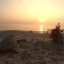 토토의 바다 이미지