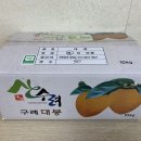 영암햇살농장 | [ 그래구례] 지리산 대봉감, 감중의 왕 대봉감