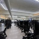 팔로우짐 이미지