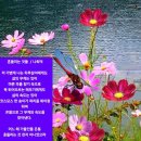 북한강 기슭에서(고정희)// 반드시때가온다(백원귀)// 가을 엽서(안도현)//른들리는 것들(나희덕) 이미지