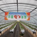 퍼펙트경영컨설팅