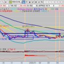 삼영바이오식품 이미지