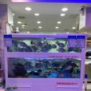 바다뚜껑여는집 이미지