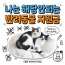 24시띵동펫택시 | 반려동물 정책 지원금, 수급자·차상위만 받는다? 나같은 집사를 위한 완전 정리