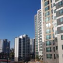 신정로(계남근린공원) 이미지