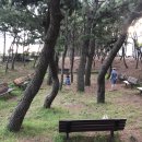 신호솔밭공원 이미지