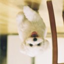 쑤 - 의정부시 민락로 195 | 쑤