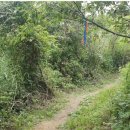 추자힐링랜드 이미지