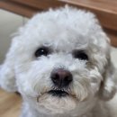 아래짓들 도로변 | [치앙마이 5박6일] 1. 아니 호텔이 너무너무 좋자나!